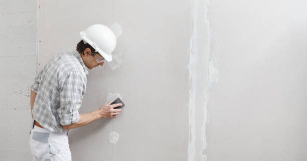 Best Residential Mold Inspection & Testing  in Tecumseh, MI