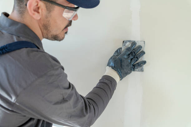 Trusted Tecumseh, MI Mold Removal Experts