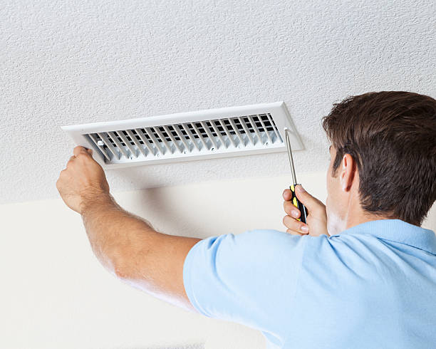 Best Air Quality Testing for Mold Spores  in Tecumseh, MI