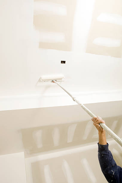 Best Basement Mold Removal  in Tecumseh, MI